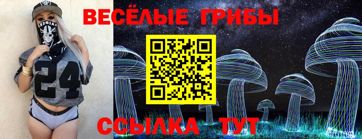 Улан-Удэ  Псилоцибиновые грибы MAGIC MUSHROOMS  Вход с VPN 