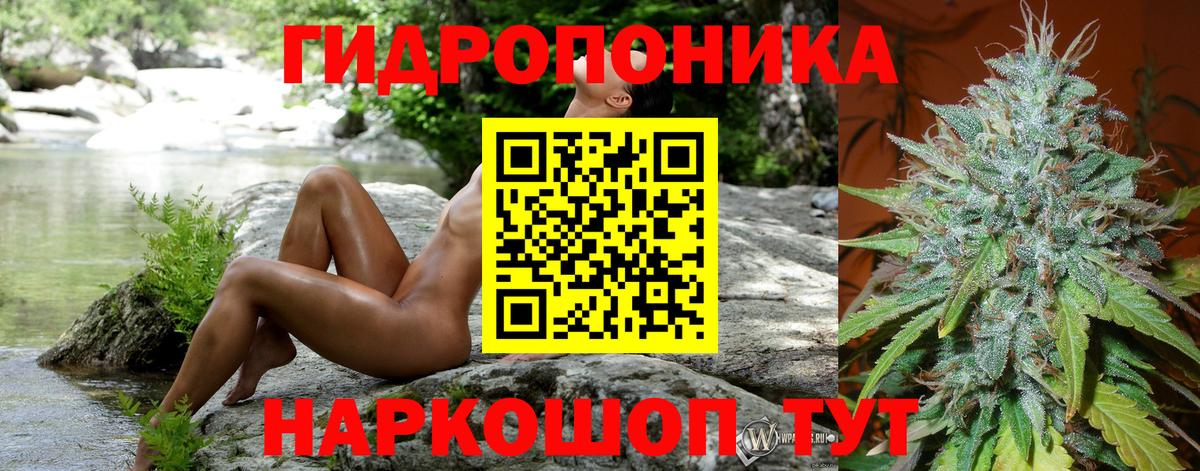 Каннабис планчик  Канабис сатива  Улан-Удэ  Вход с VPN  Шишки марихуана MAZAR  Конопля план 